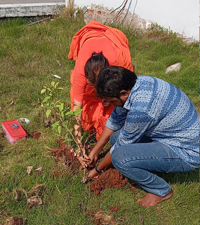planatation